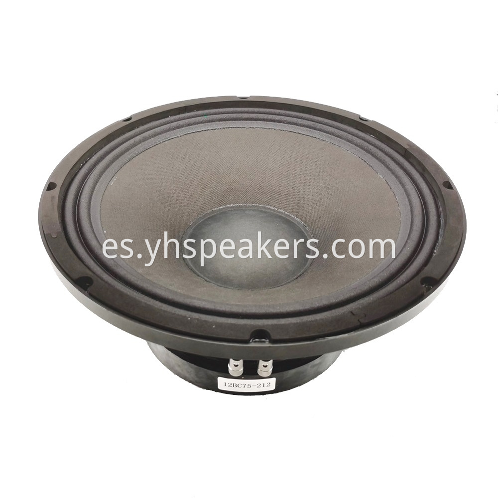 300 Watts 12 Inch Pro Loudspeaker